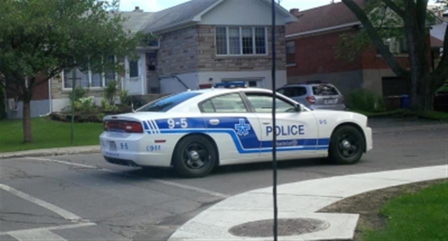 Ontario Police recover 52 stolen vehicles, file 96 charges against 11 suspects